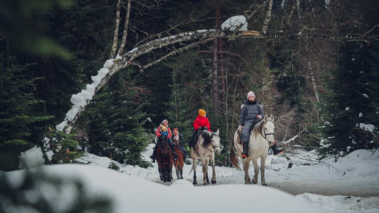 Спокойный конный тур Отдых в горах Архыза (3 дня) (10/20)