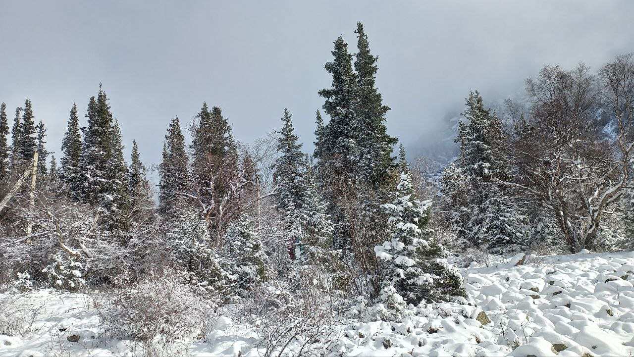 Национальный парк Ала-Арча и ночная жизнь Бишкека, как живет мегаполис!! (10/25)
