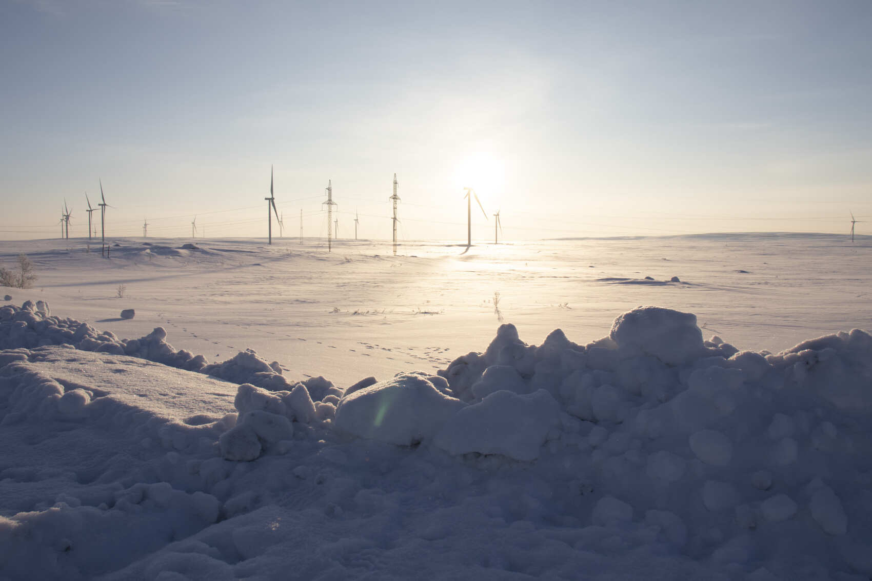 Сказка Севера: эко-отель в лесу + 3 экскурсии (13/33)