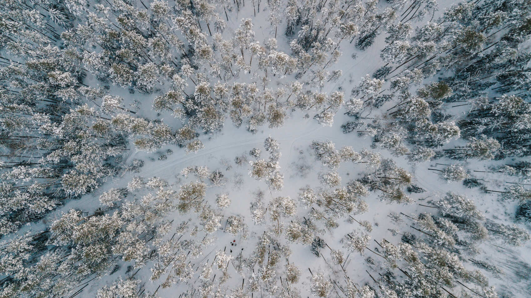 Хайкинг на снегоступах в Марий Эл По следам путника (2/8)