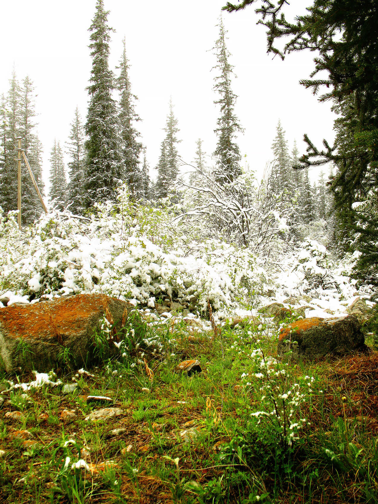 Из Бишкека в горы Тянь-Шаня! (4/16)