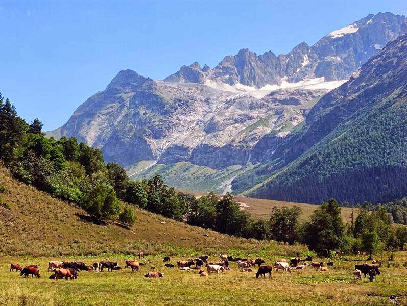 Архыз-Домбай экскурсионный (35/63)