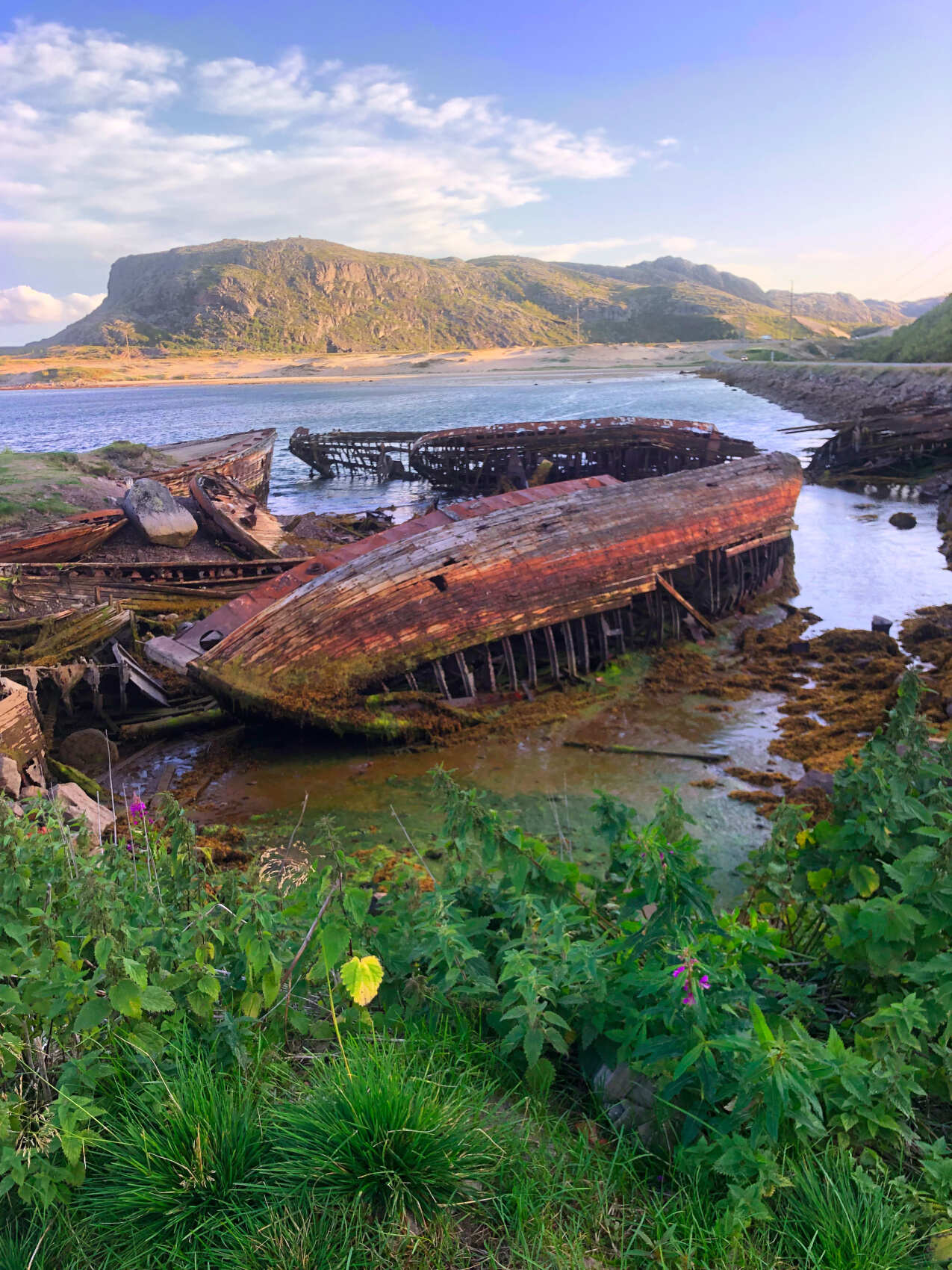Гастротур на Кольский полуостров + 3 экскурсии (10/37)