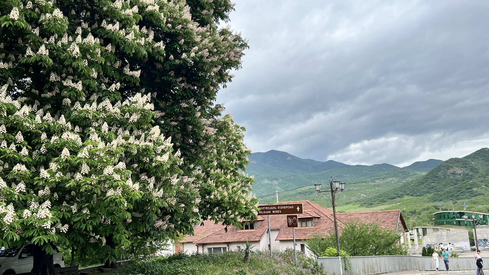 Удивительная Грузия: Тбилиси+Казбеки+Кахетия (59/152)