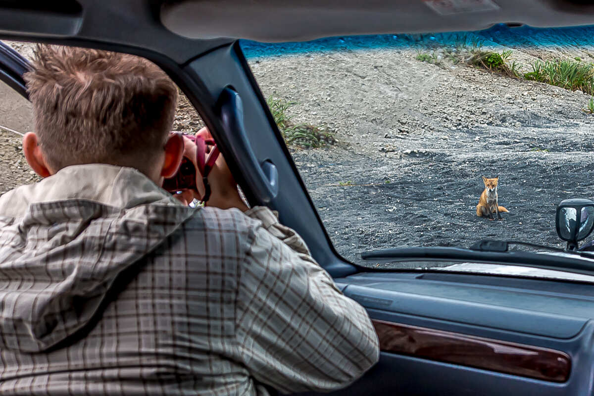 Перезагрузка на Итурупе. Путешествие на другую планету (31/171)