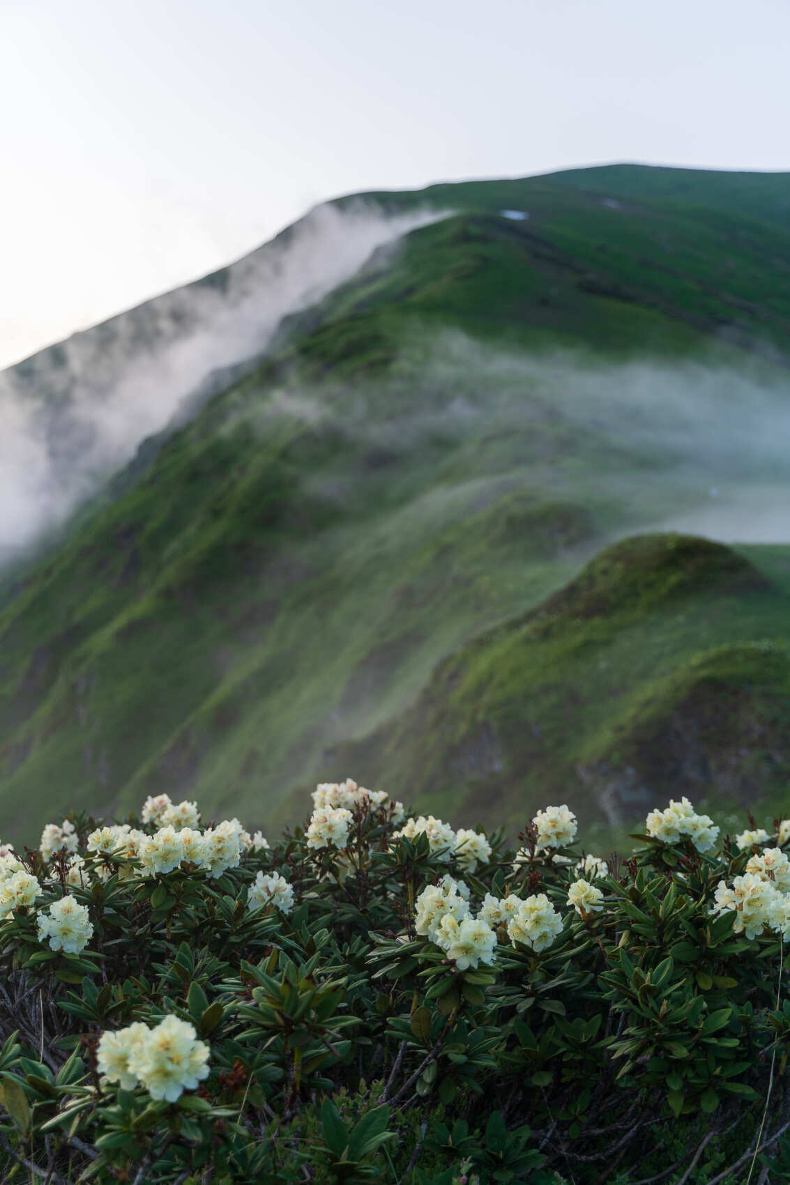 Бзерпинский карниз (10/30)