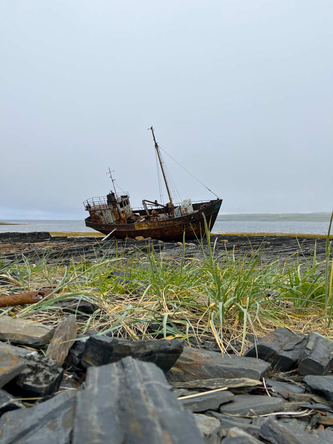 Рыбачий-Премиум 2.0: киты + джипинг + безлимит морепродуктов (по запросу, для готовых групп) (7/31)