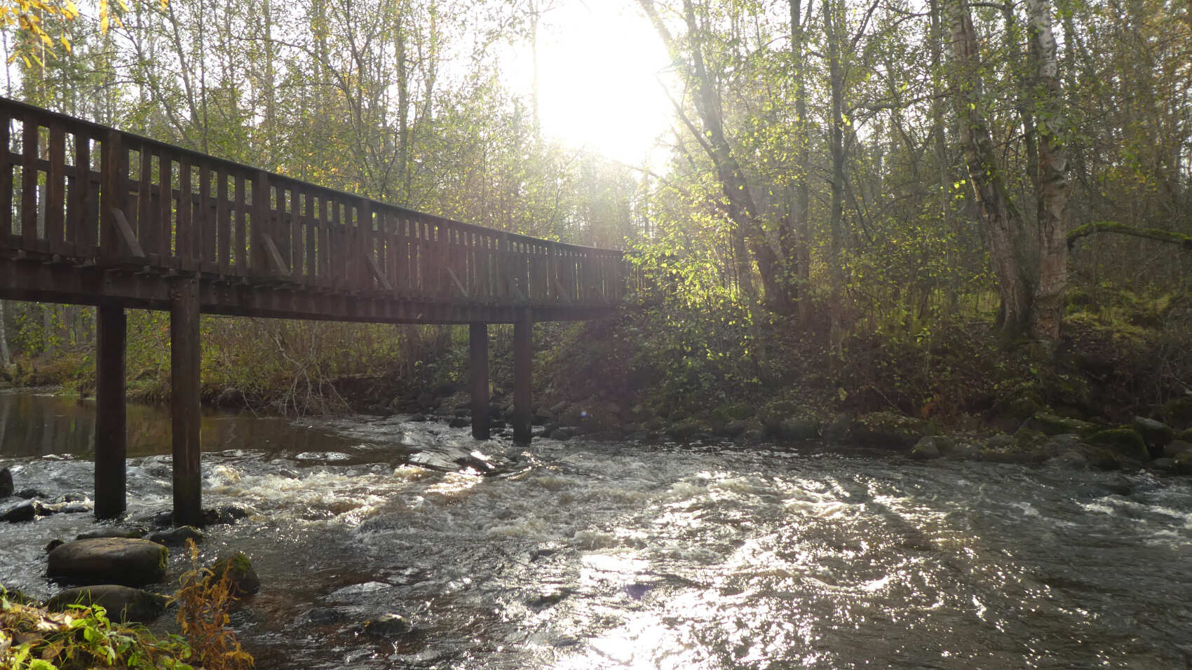 По тропам Ленинградской области. Петяярви. (5/9)
