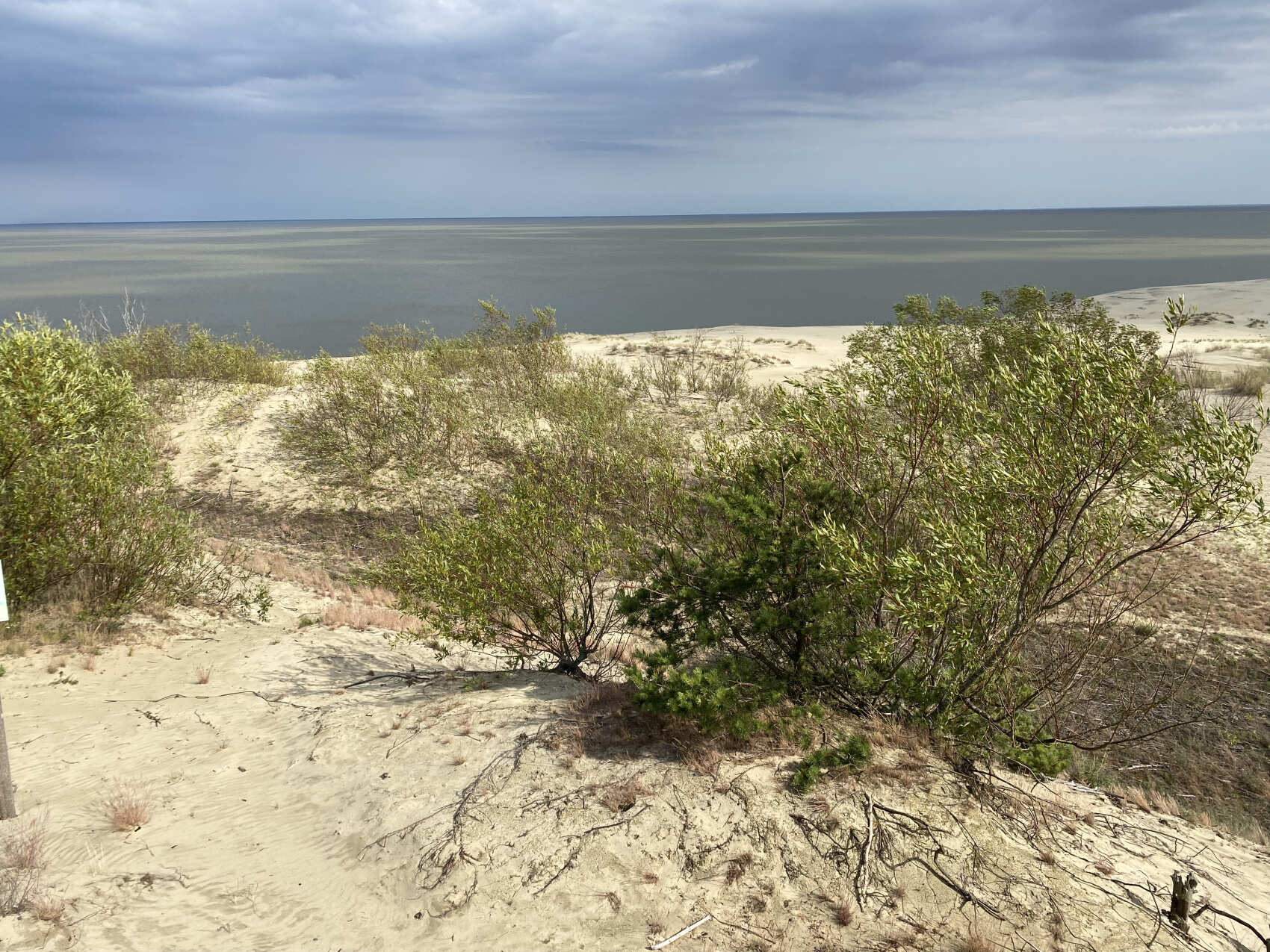 C ночевкой на Куршской: коса + Зеленоградск (8/26)