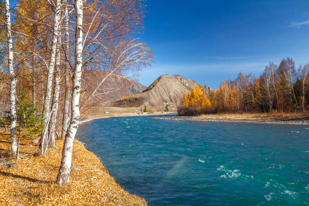 Фототур Золото Алтая (39/79)