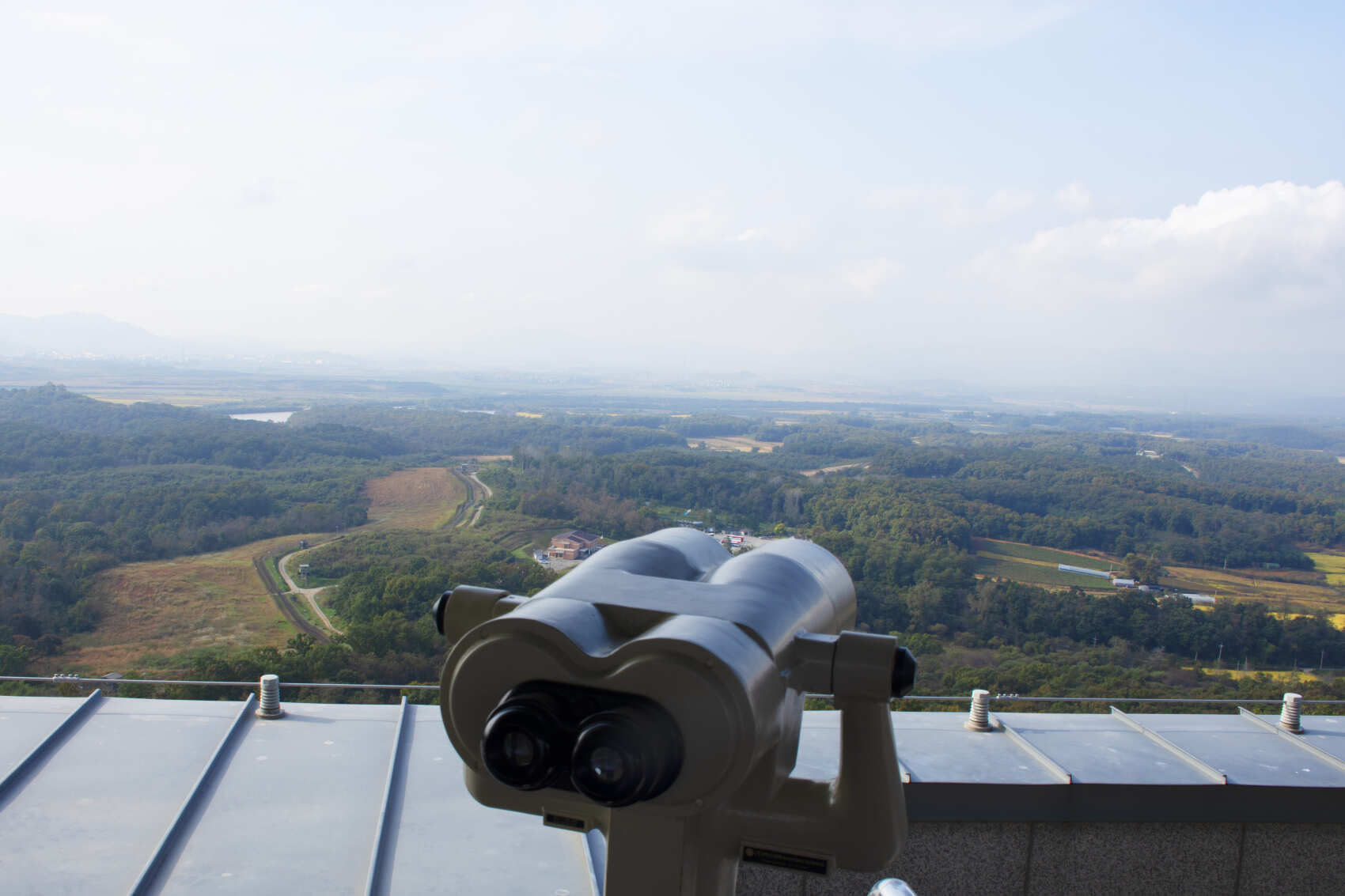 Южная Корея. Сакура в утренней свежести (11/34)
