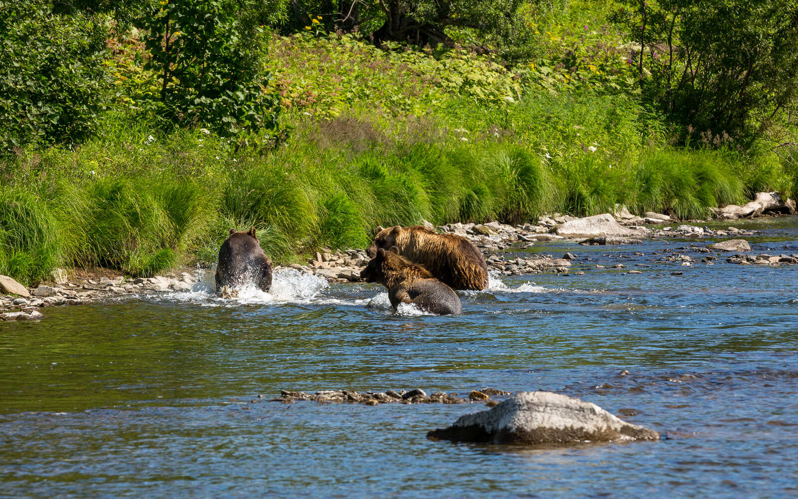 Сплав по реке Быстрая  (4/7)