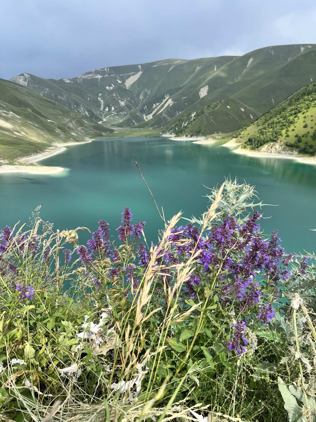 Чечня! История и Величие Кавказа. Из Владикавказа (51/51)