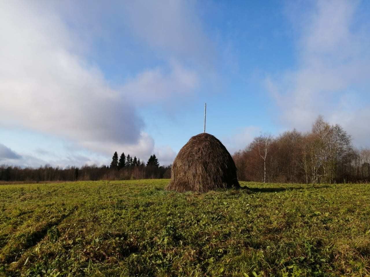 Вепсский лес. Путешествие по старинным деревням реки Оять (11/46)