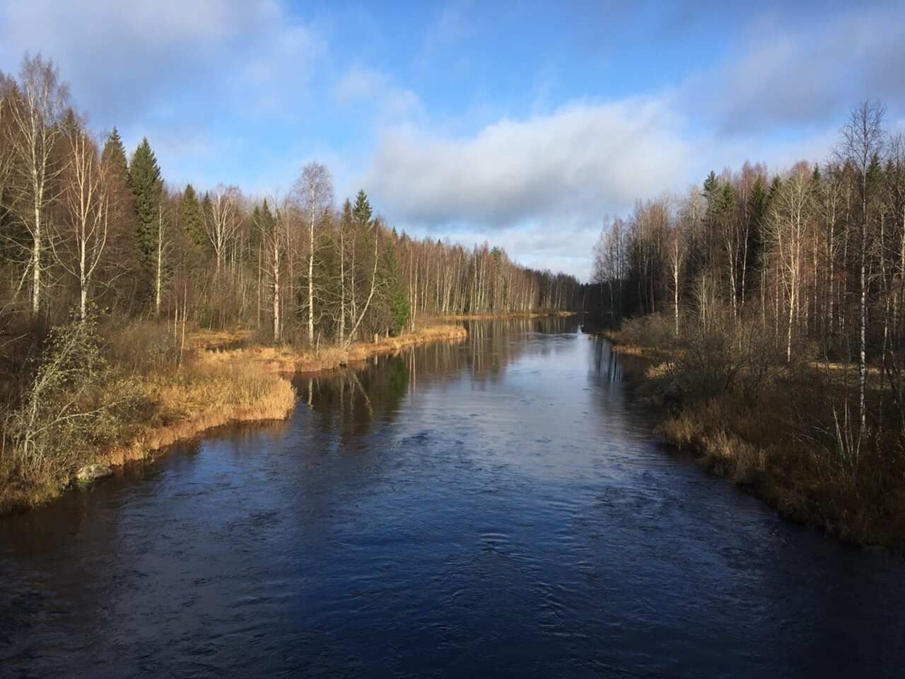 Вепсский лес. Путешествие по старинным деревням реки Оять (13/46)