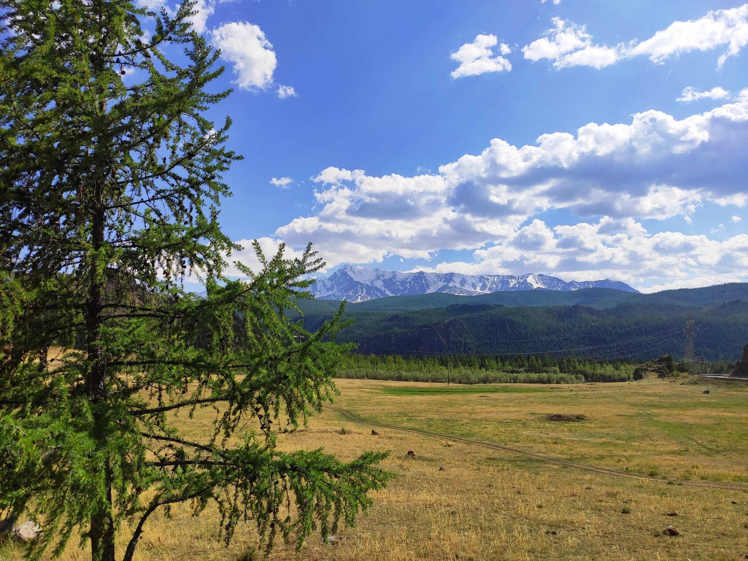 Сердце Горного Алтая: до Монголии и обратно (19/82)