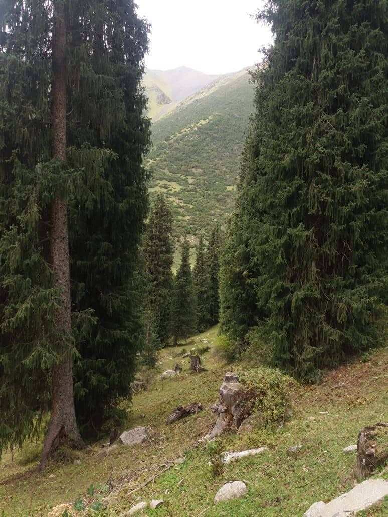 Первое знакомство с Иссык-Кулем! Северный берег. (8/8)