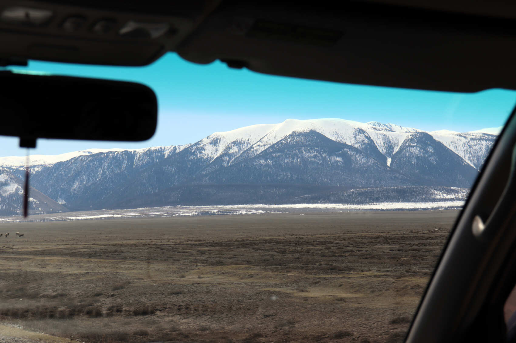  Майские-2026: Чемал, Телецкое, Чуйский тракт и Кату-Ярык (группа до 6 чел.) (7/46)