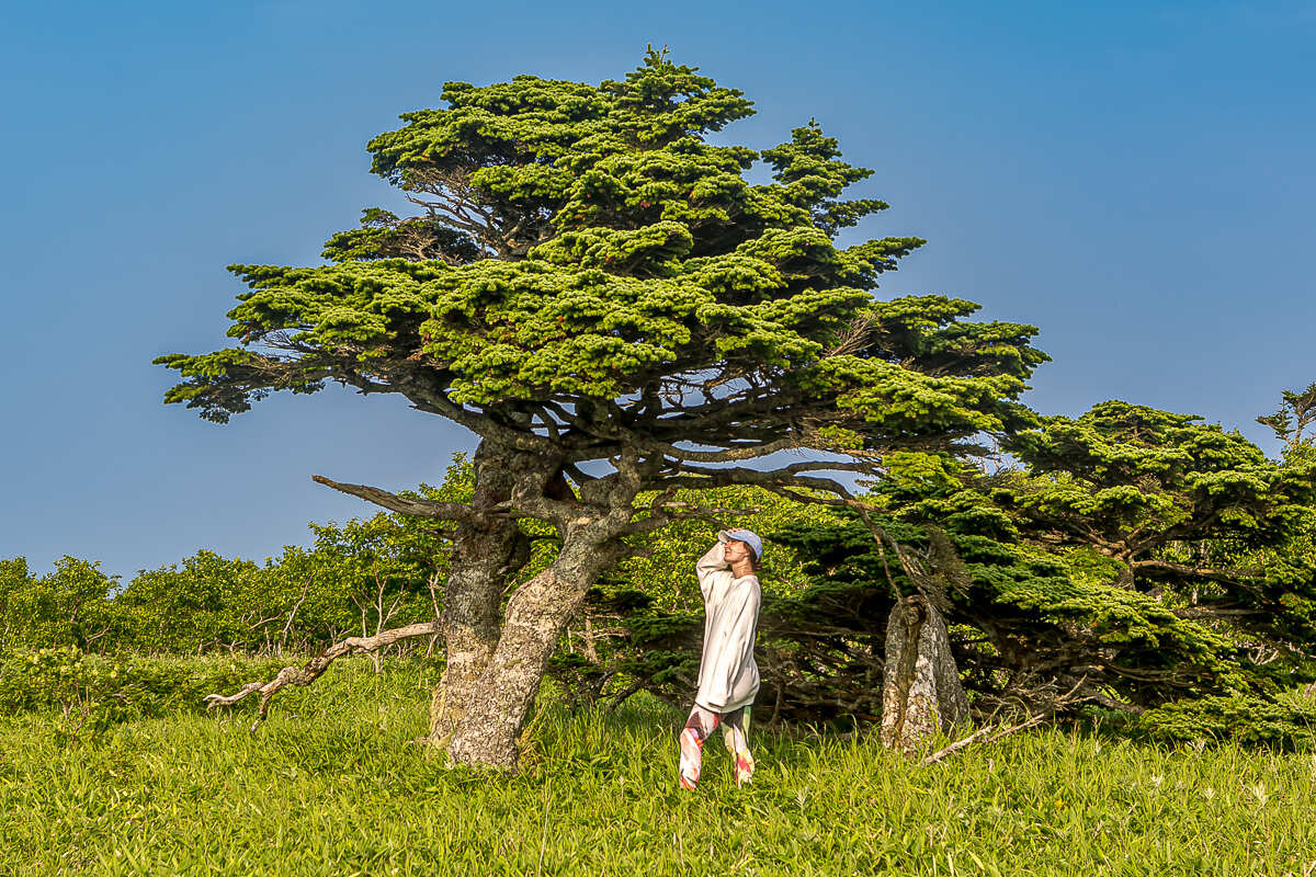 Лучшее на Шикотане. Путешествие на другую планету (15/126)