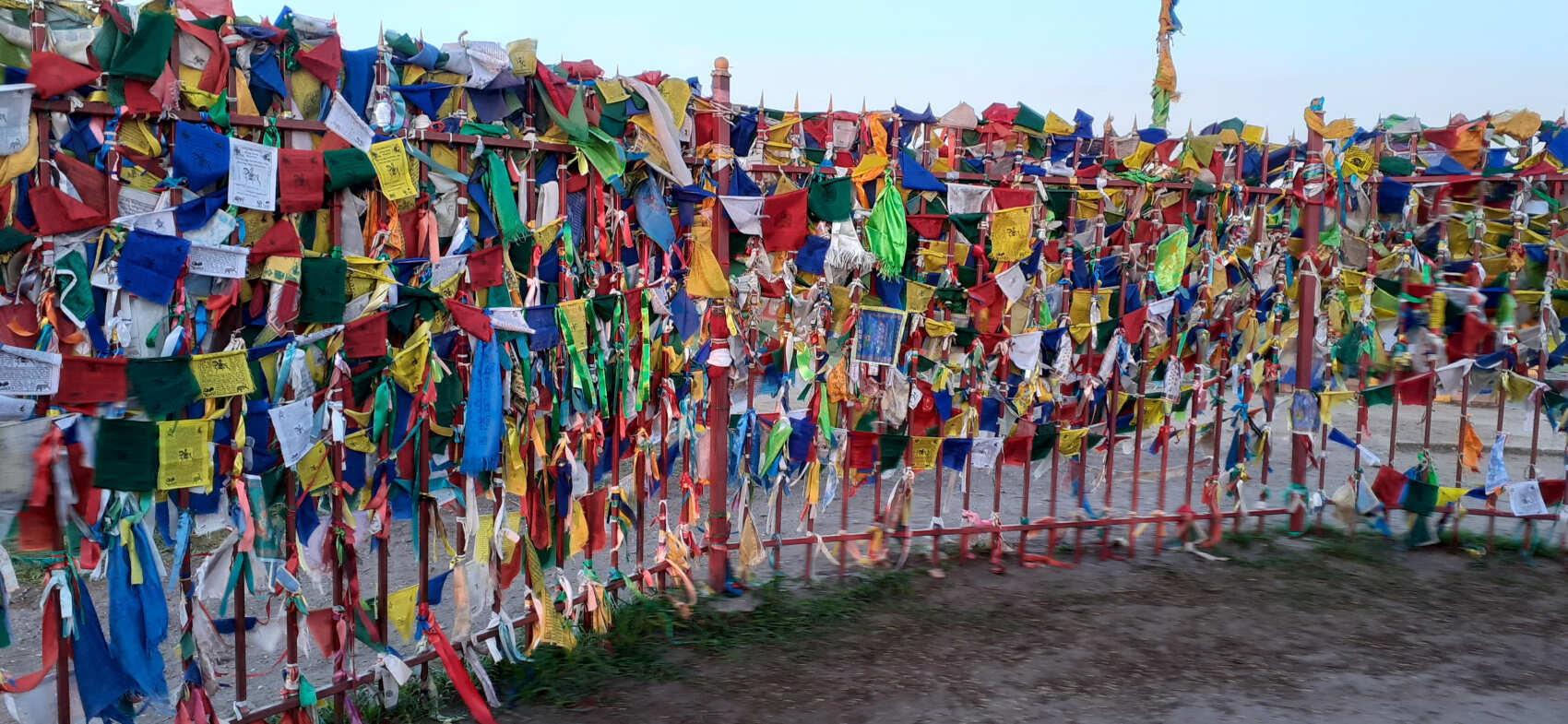 Калмыкия, тюльпанные поля, озеро Баскунчак и Золотая Элиста (5дн./5 ноч.) (10/51)