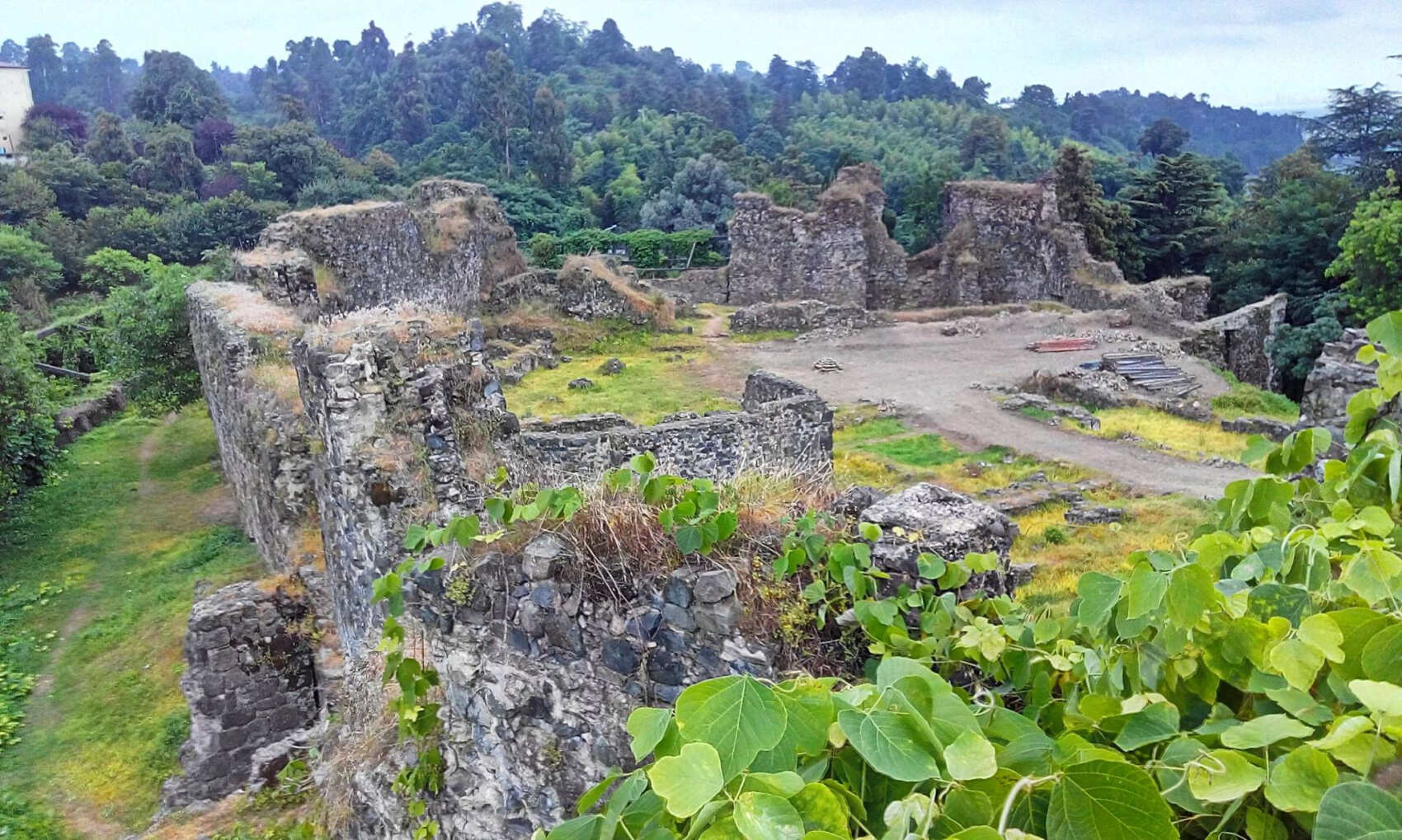 Insta-tour - ботанический рай и крепость Петра (5/8)