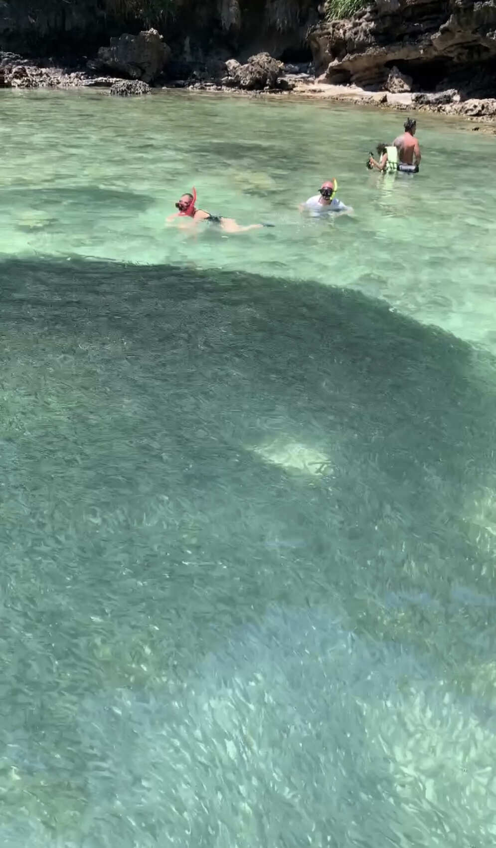 Путешествие на необитаемые острова архипелага Phi Phi. Сноркелинг с черепахами (6/41)