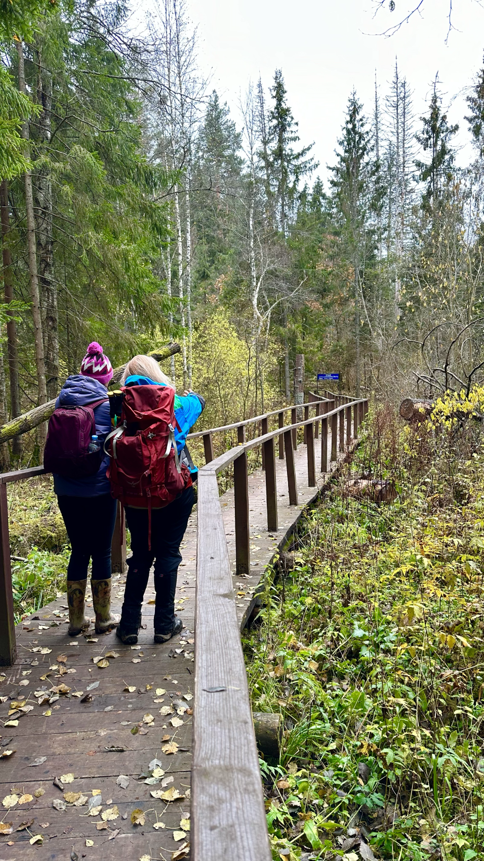 Пеший поход Дорога в Лавру. Лесной скит (9/14)