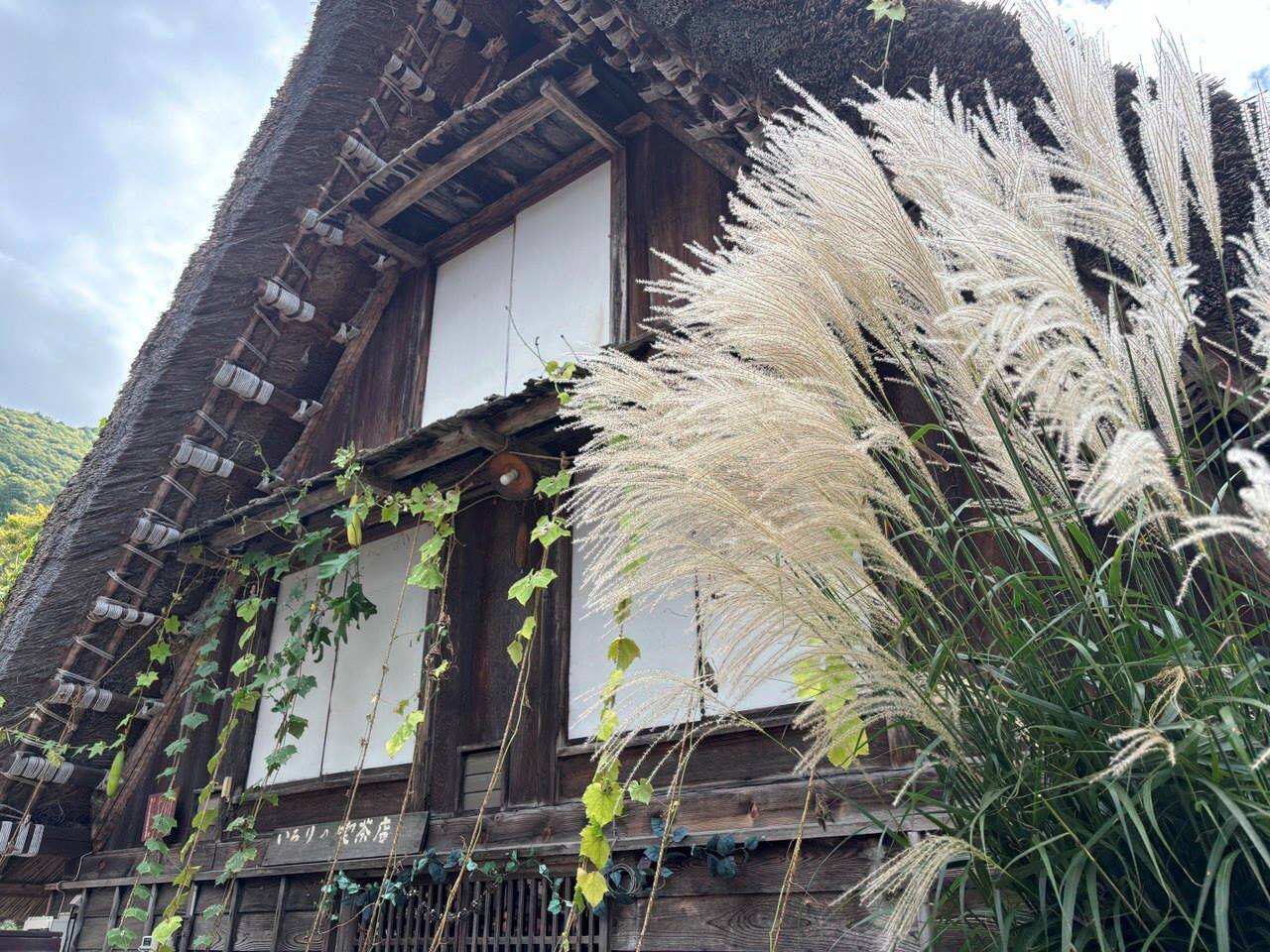 Навстречу гейшам и самураям. Япония на цветение и фестиваль 2026 (27/64)