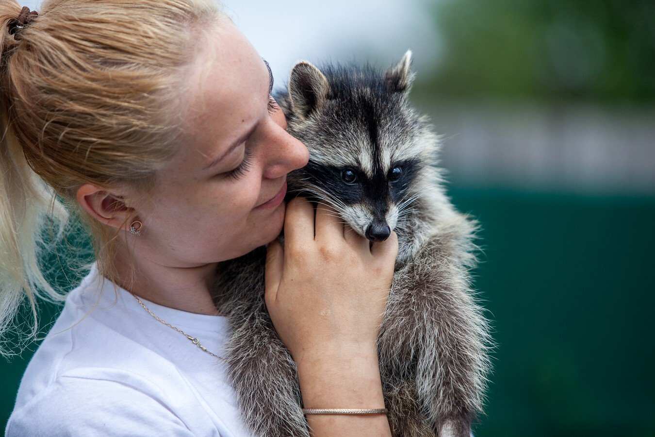 Жемчужина Подмосковья Сергиев Посад (5/17)