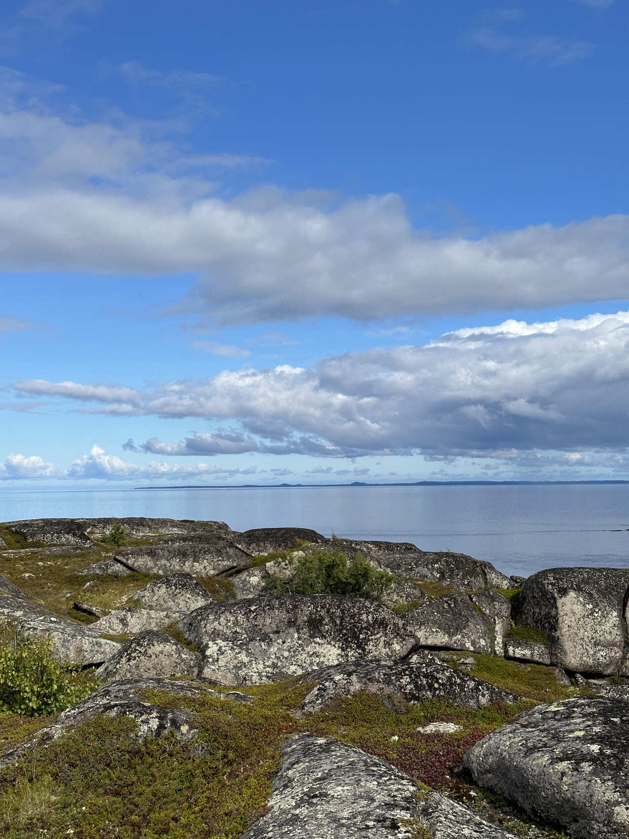 Тайны Белого моря. Архипелаг Кузова (17/39)