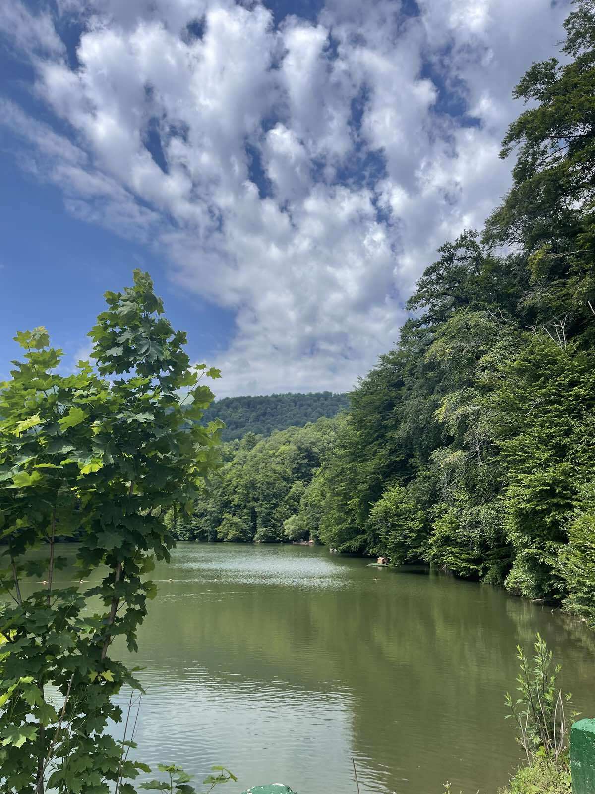 Пешая экскурсия по Дилижанскому национальному парку (17/20)