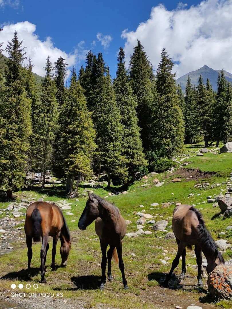 Первое знакомство с Иссык-Кулем! Северный берег. (1/8)
