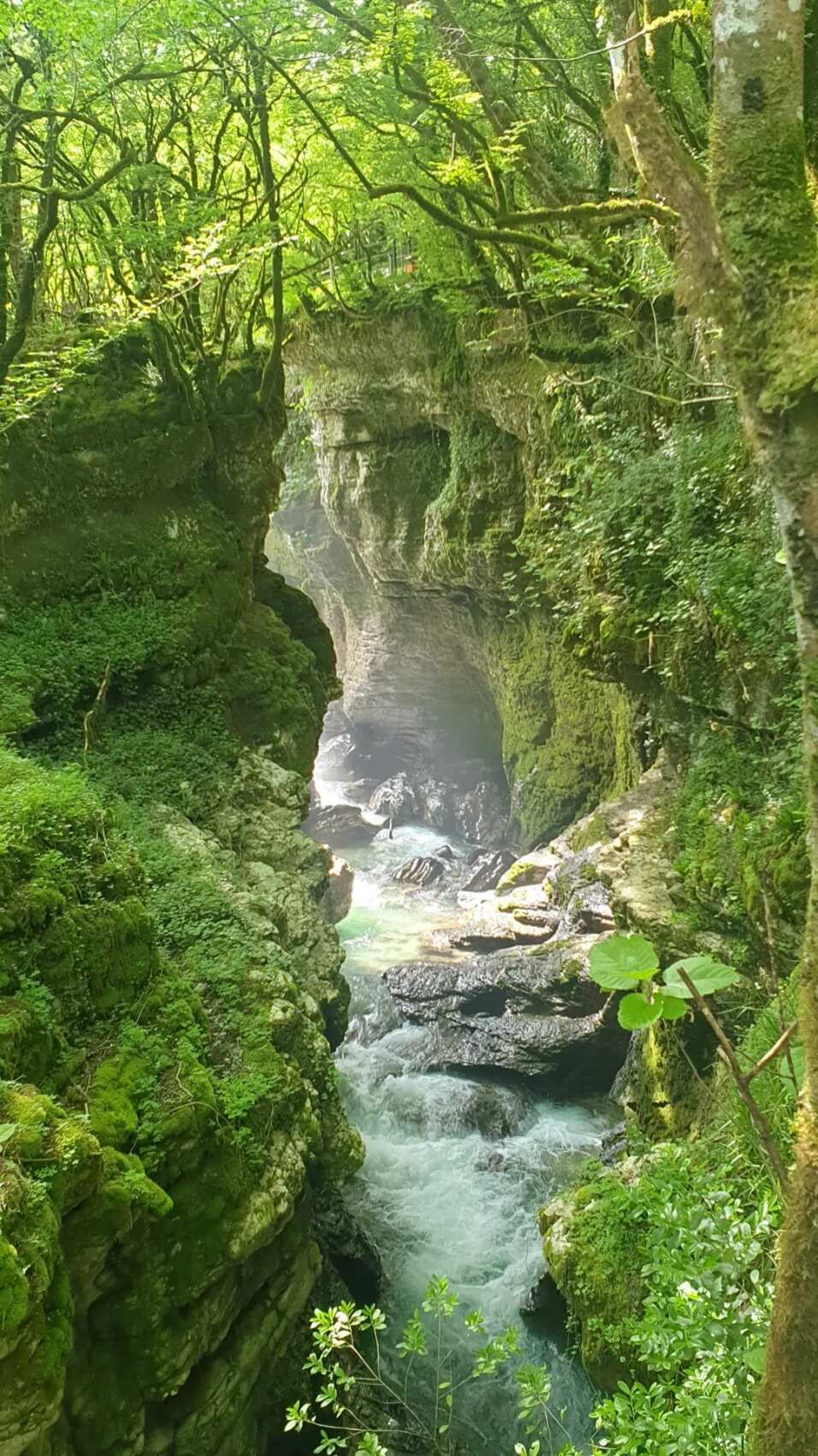 Грузия в одном дне: Индивидуальный трансфер-путешествие из Тбилиси в Батуми. (12/20)