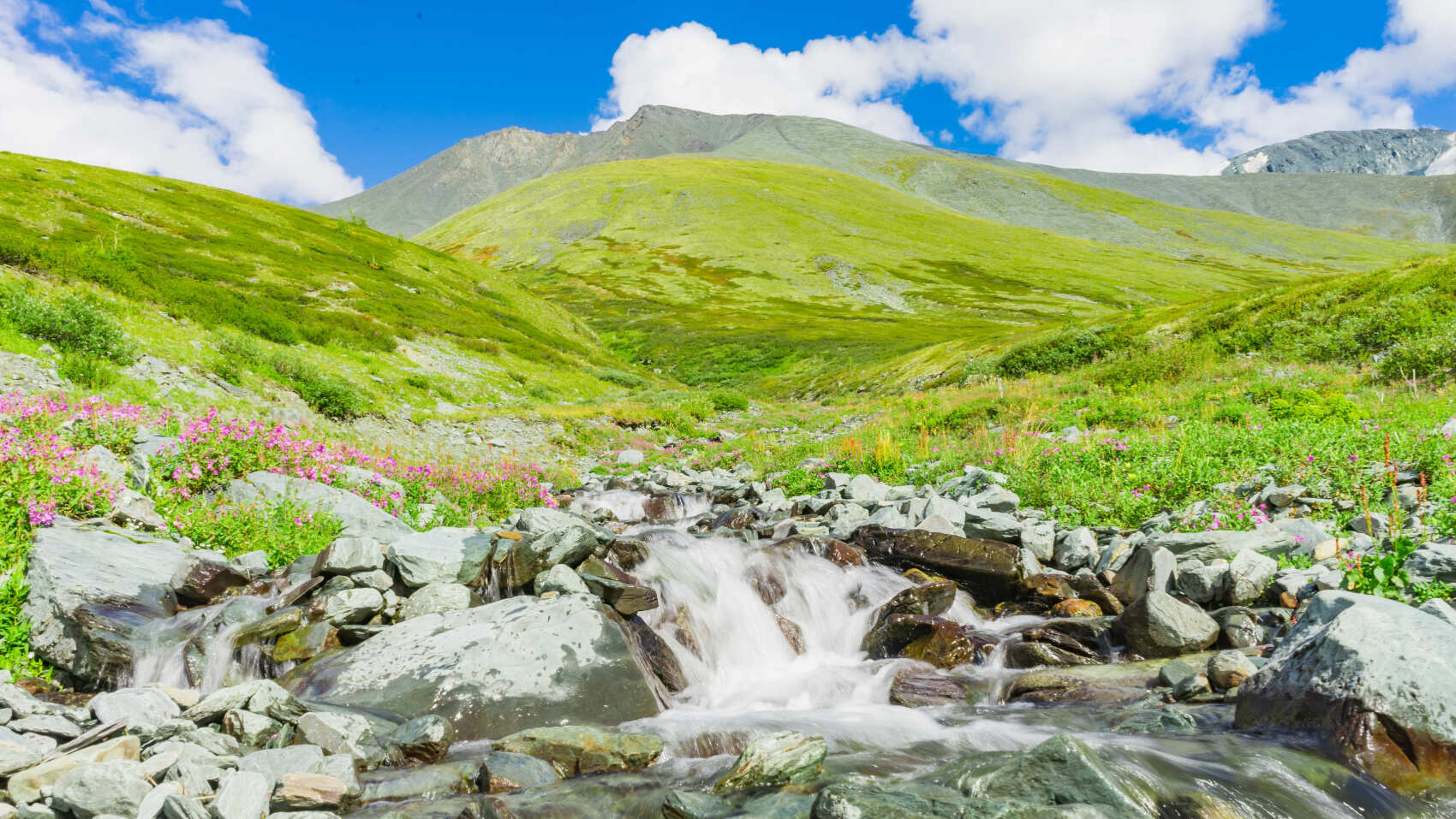 Треккинг к подножию Белухи налегке, с конным сопровождением (51/69)