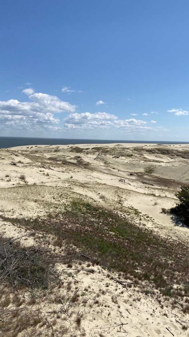 От Куршской косы до семейной сыроварни Шаакендорф + Зеленоградск (4/7)