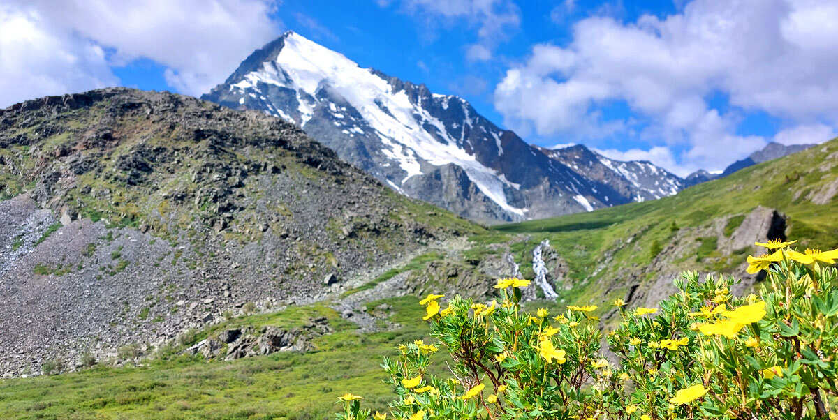 Поход на Алтай. Гора Белуха и Кучерлинские озера. Без рюкзаков. (3/68)