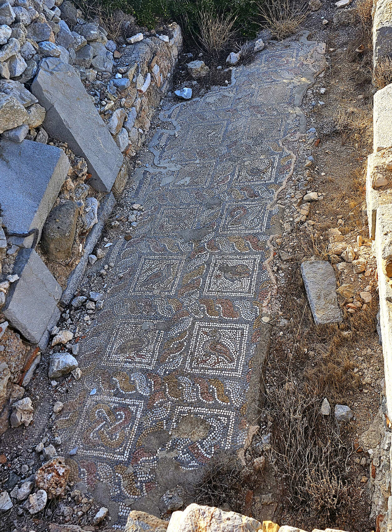 Треккинг по Карийской тропе (8 дней) (17/46)