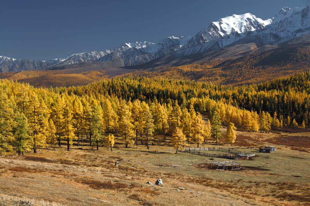 Фототур Золото Алтая (14/79)