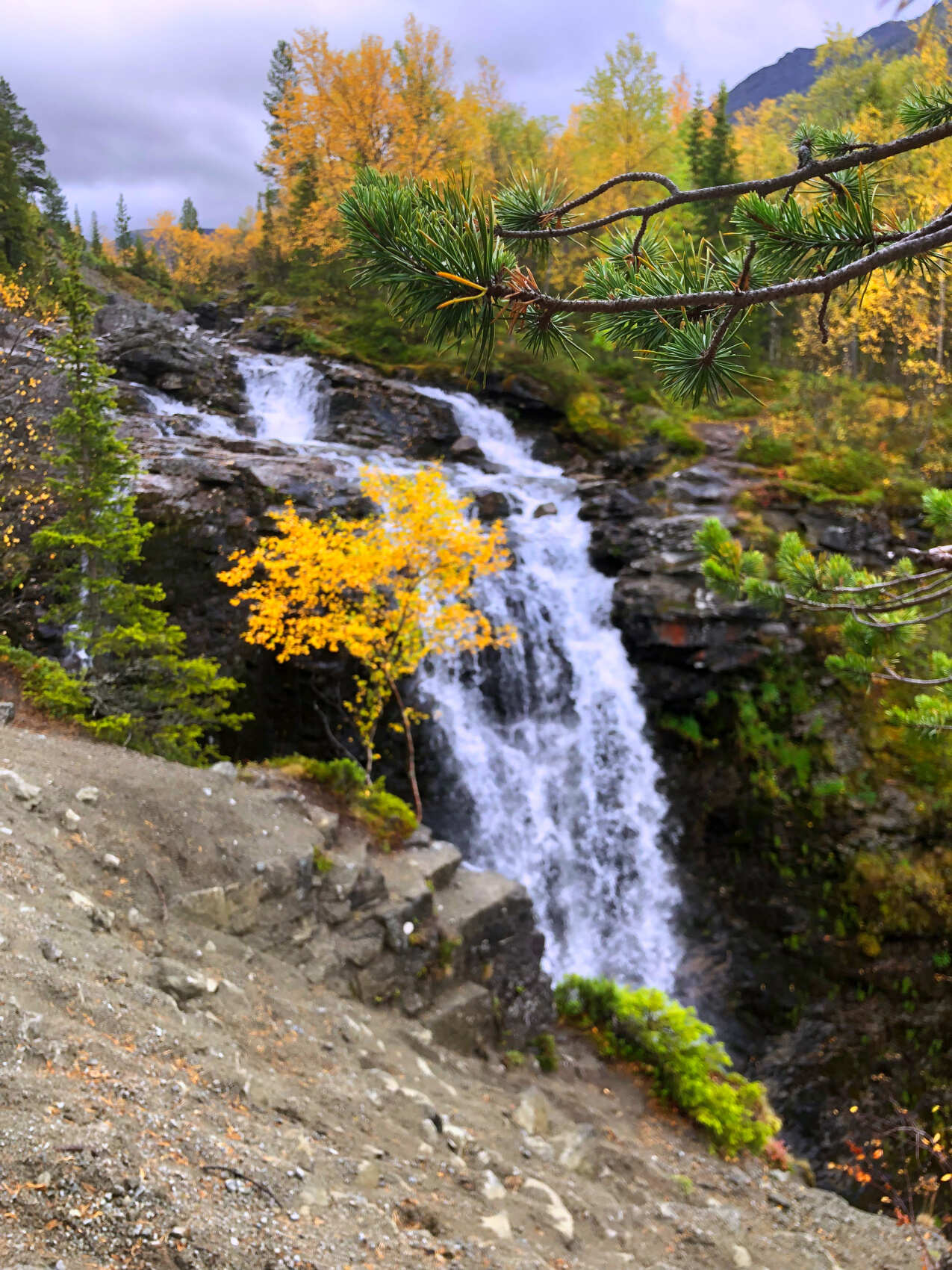 Большой Кольский: Мурманск, Териберка, Ловозеро, этнодеревня, Кировск (19/50)