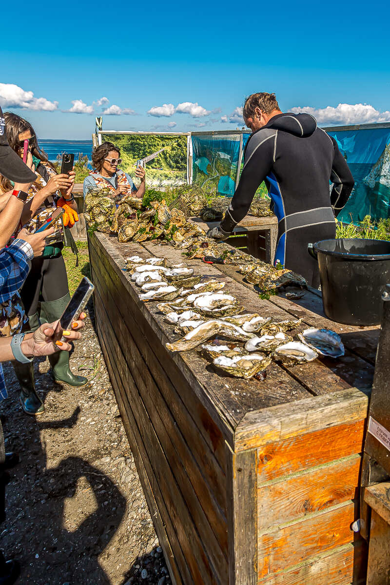 Сахалин, Итуруп, Шикотан и Кунашир с вулканом Тятя. Путешествие на другую планету (92/271)