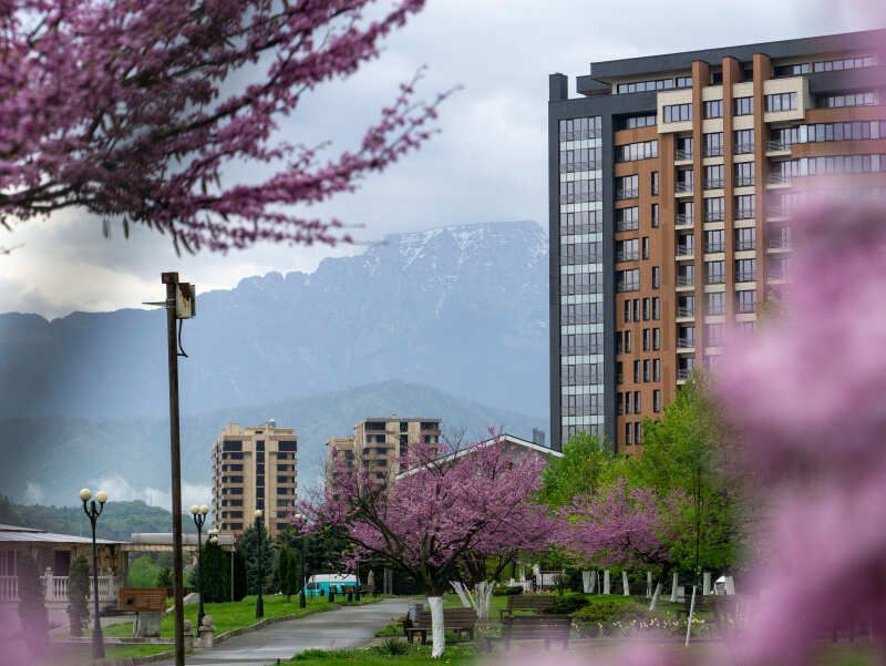 Северная Осетия и Кабардино-Балкария,Ингушетия Акция (38/85)