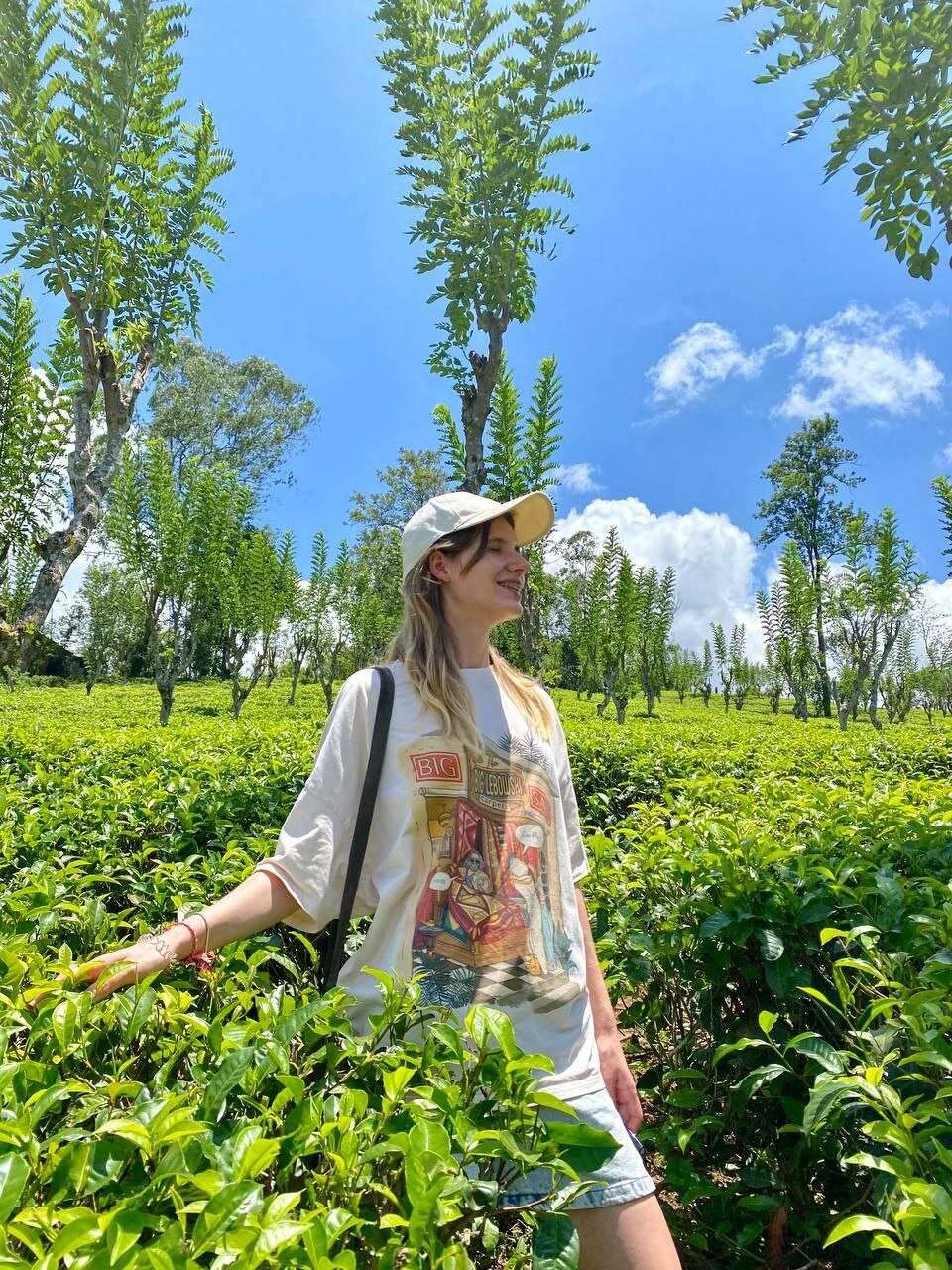 Чарующая Элла + слоновий питомник Удавалаве забираем из любого города Шри-Ланки (12/15)