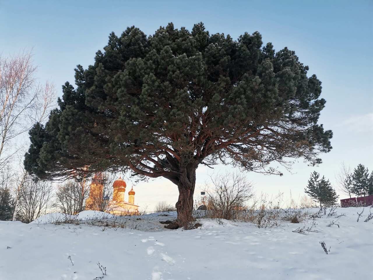 Ржев, Торжок, Старицкие пещеры и другие путешествия и приключения (2/71)