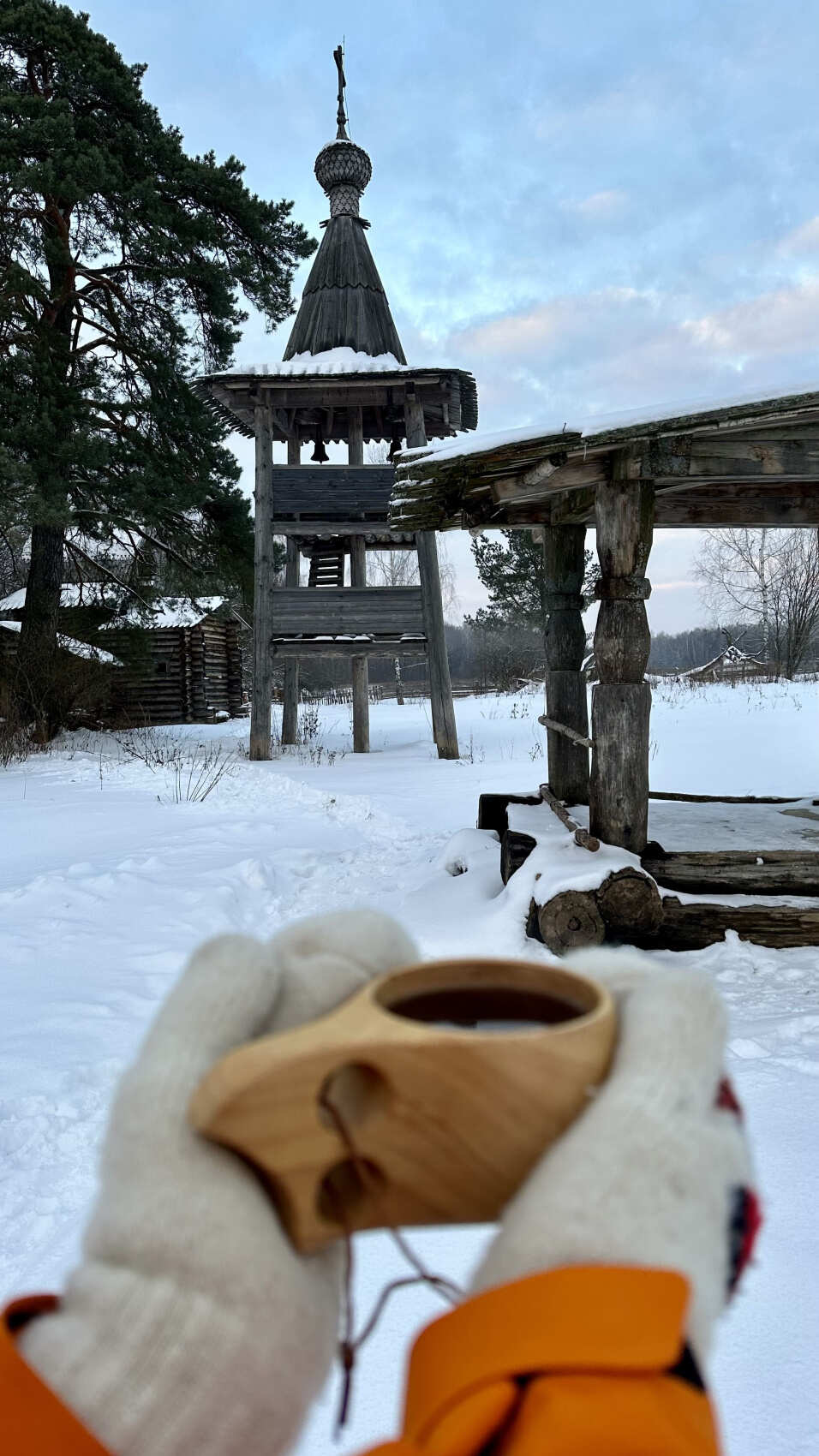 Поход на снегоступах Русский север в Подмосковье (6/11)