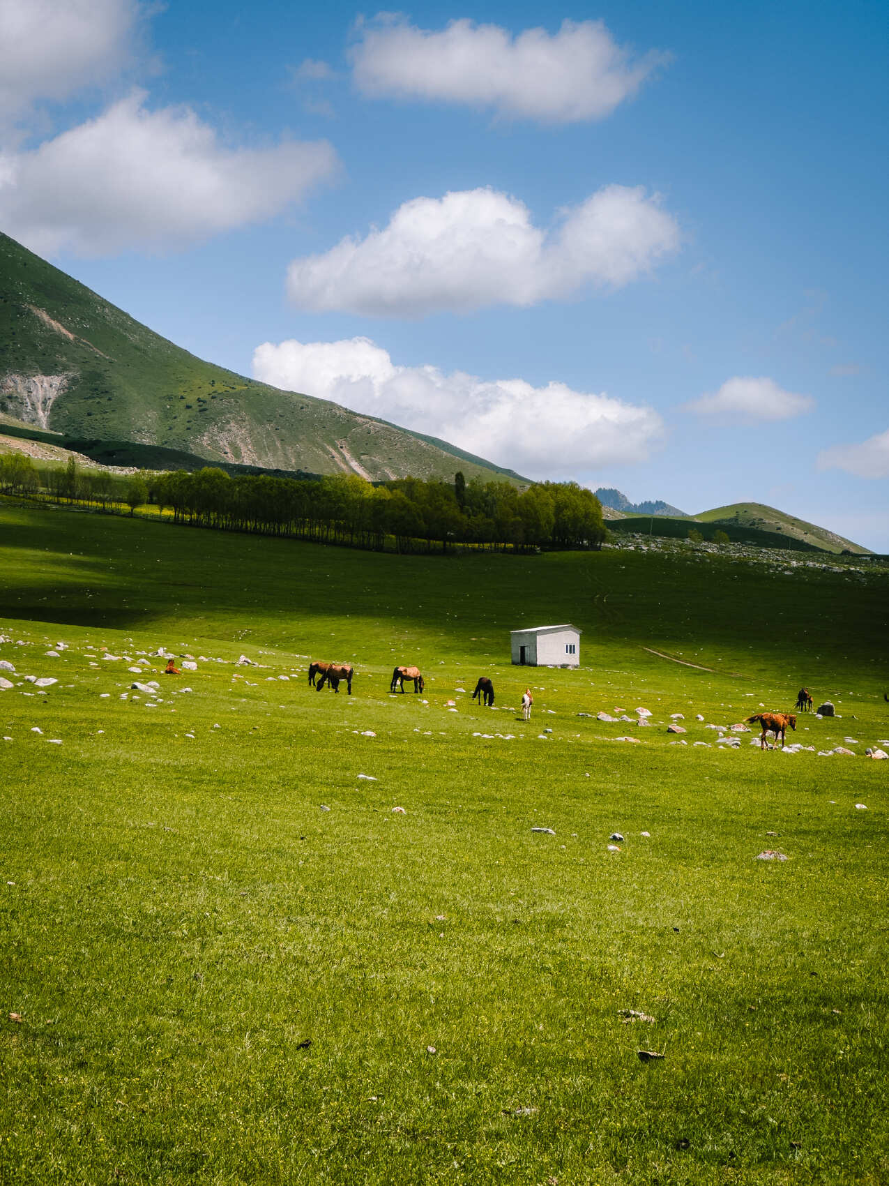 Активный тур  Всё включено! (32/61)