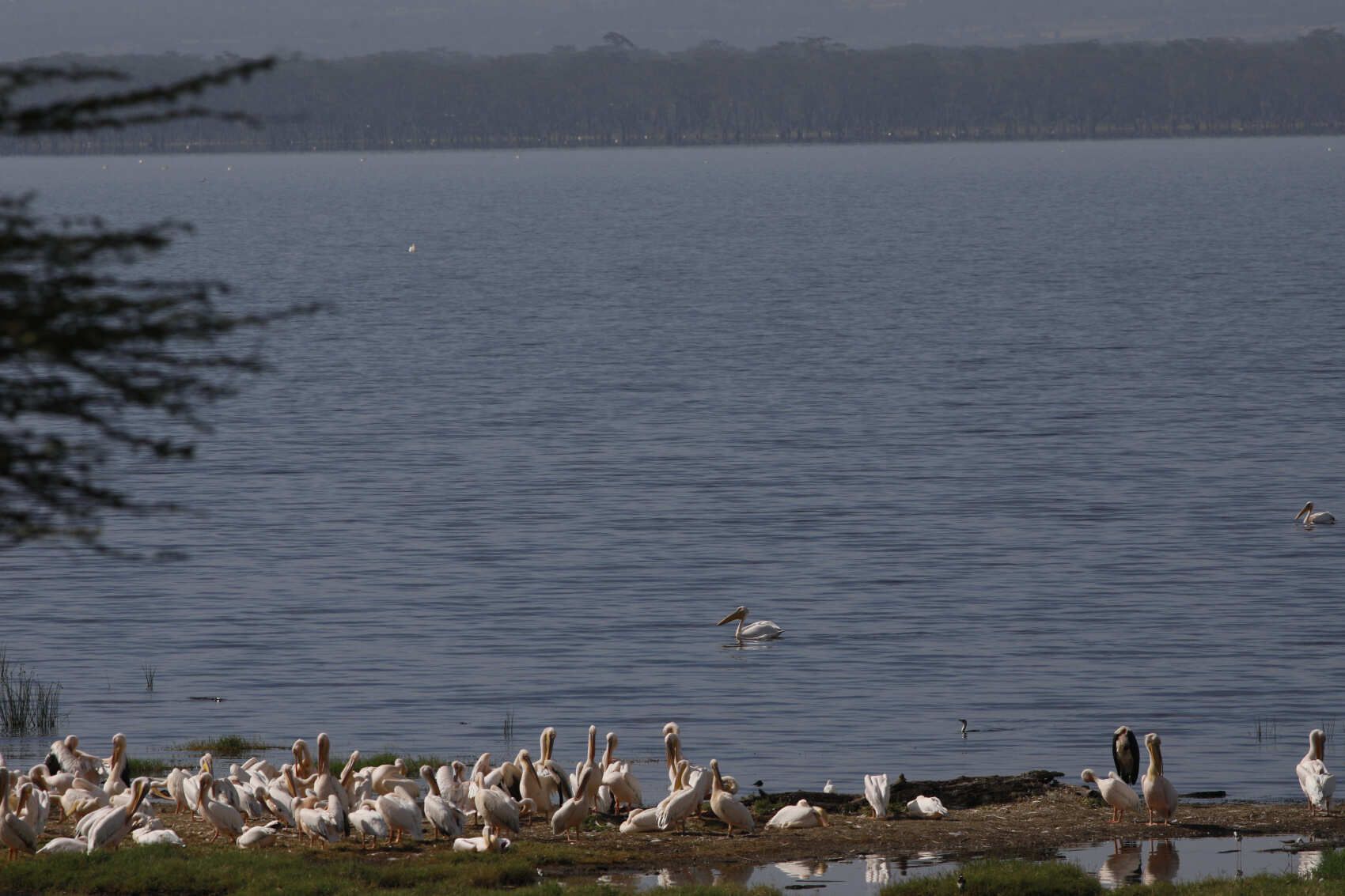 4 Day Safari Through Kenya’s Heart