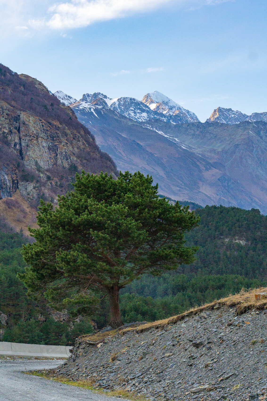 Северная Осетия и Кабардино-Балкария (37/91)