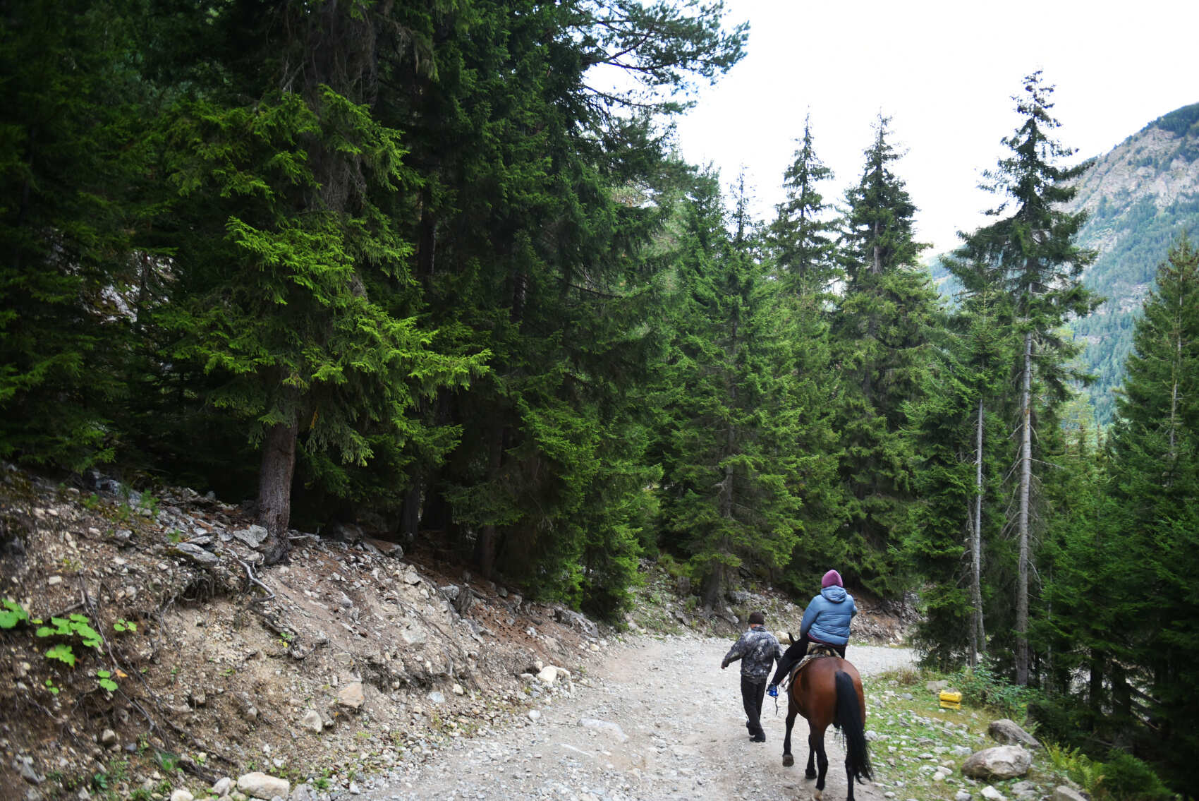 Интернет-детокс в ущелье реки Махар (15/30)