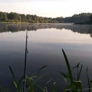 Отдых у озера + sup (8/48)