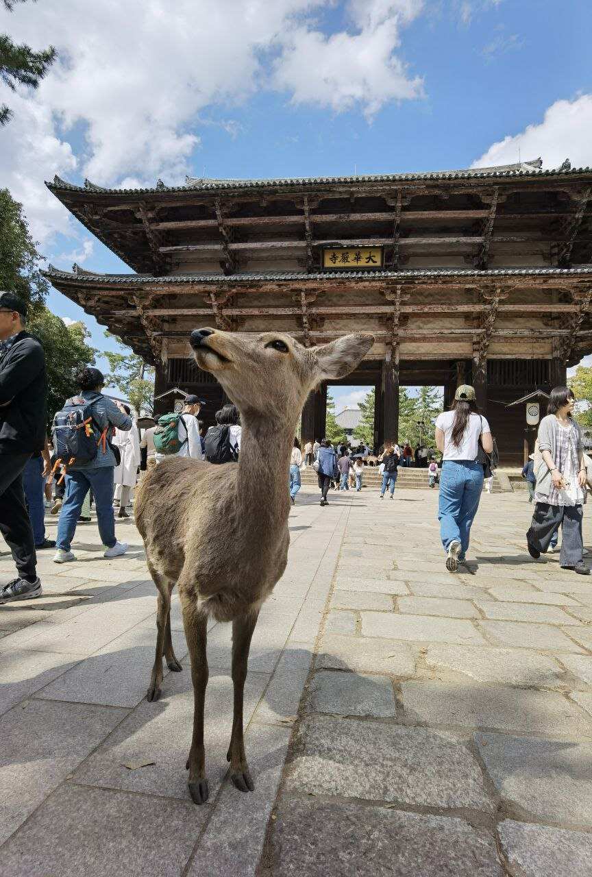 Япония: фестиваль фейерверков и пляжи Окинавы (4/37)